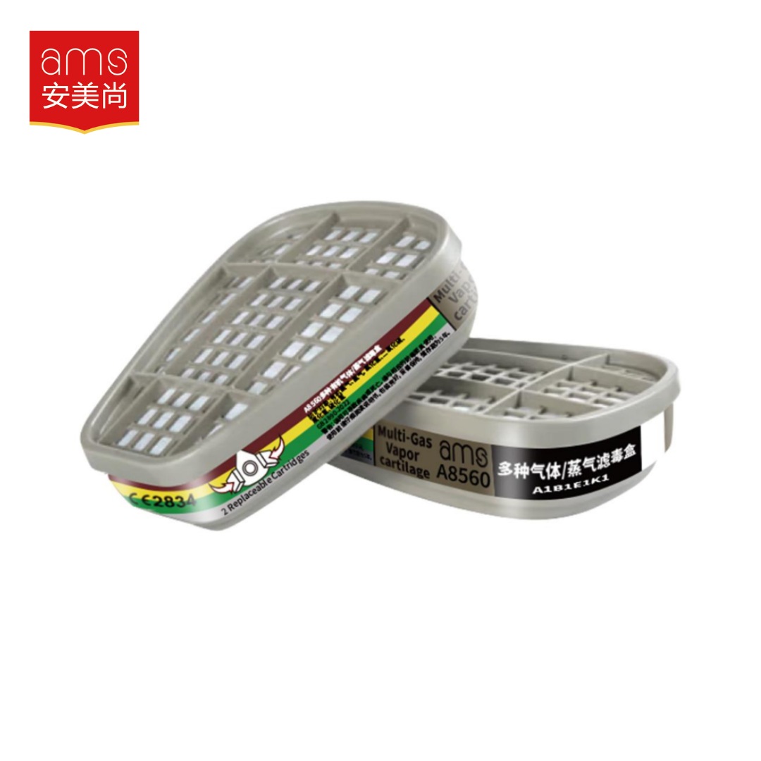 Hộp phin lọc đôi Ams khí hỗn hợp A8560